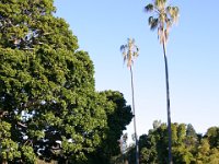 0070  Angela con i cugini Bianca e James.