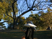 0089  I pappagalli di Sydney.