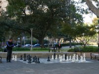 2006  Una partitina a scacchi.