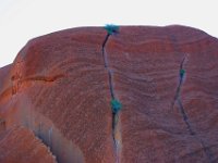 0023  Le ferite inflitte al serpente maschio nella leggenda aborigena.