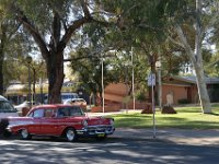 0003  Stile "cubano" della calda Darwin (30° e 100% di umidita' in pieno inverno).