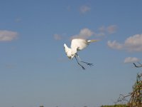 1062  Un atterraggio...