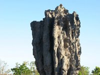 2145  Il termitaio accanto ad Angela.