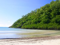 0022  La foresta pluviale a ridosso del mare.