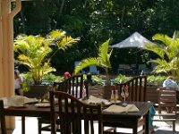 0001  Gli uccellini verdi che si lanciano sui piatti appena abbandonati.