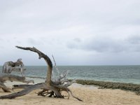 0003  Il primo giorno il tempo era cosi' cosi'.