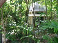 0016  La nostra casetta nella foresta di Green Island. Foresta pluviale circondata da una bianchissima spiaggia nel centro della barriera corallina.