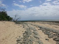 0020   Un giretto intorno a Green Island dura una ventina di minuti.