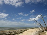 0022   Uno stupendo paesaggio sulla parte meno frequentata di Green Island.