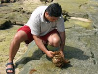 0026  E' caduta una noce di cocco! La sbucciamo e...