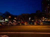 IMG 9564  Carrozze turistiche all'inizio del Central Park