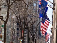 IMG 9588  5th Avenue