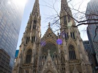 IMG 9590  Saint Patrick's