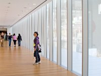 IMG 9624  Inizia la visita al Museo di arte moderna (MOMA)