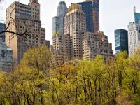 IMG 9880  Central Park