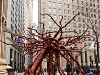 IMG 9947  Le radici di un albero sradicato dalla caduta delle due torri.